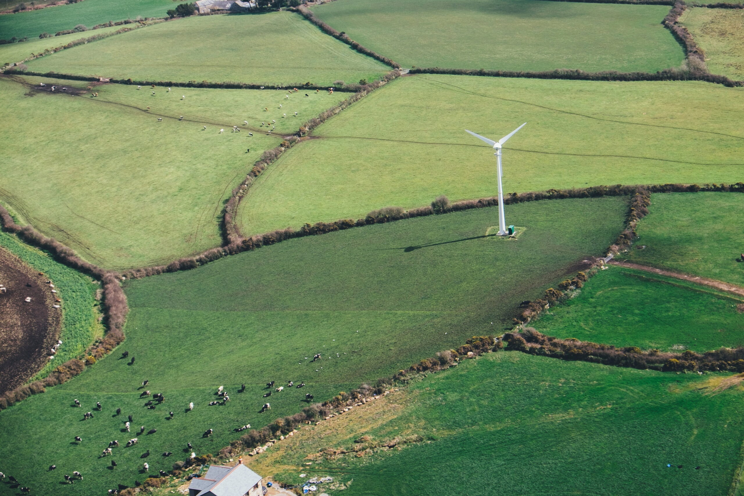 What Makes Black Sheep Utilities Outstanding in Our Field?