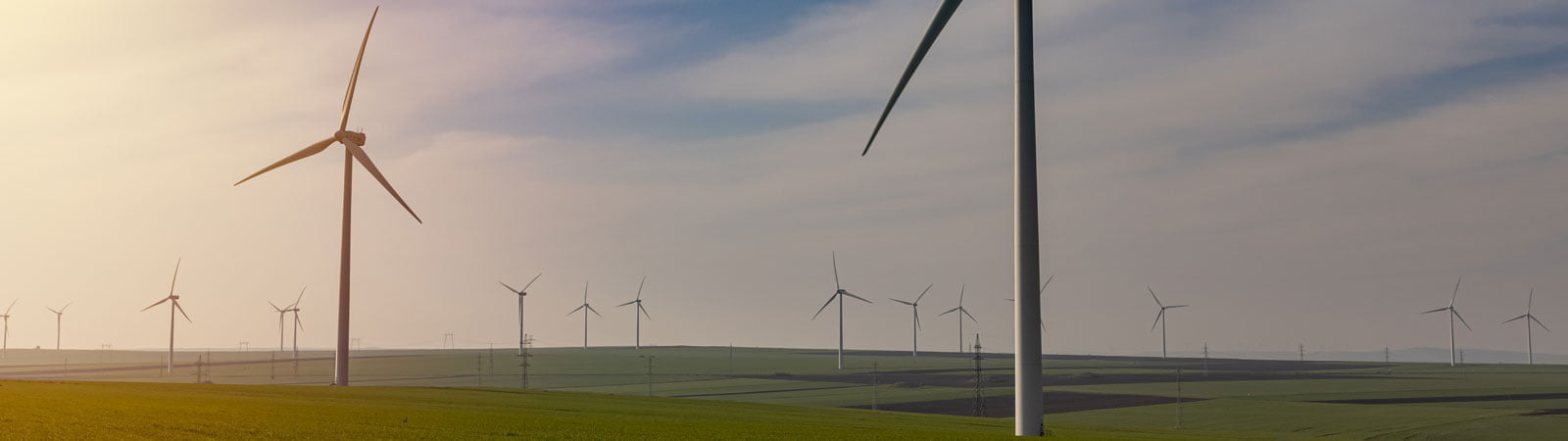 Green Energy - Field and Wind Turbines at Sunset