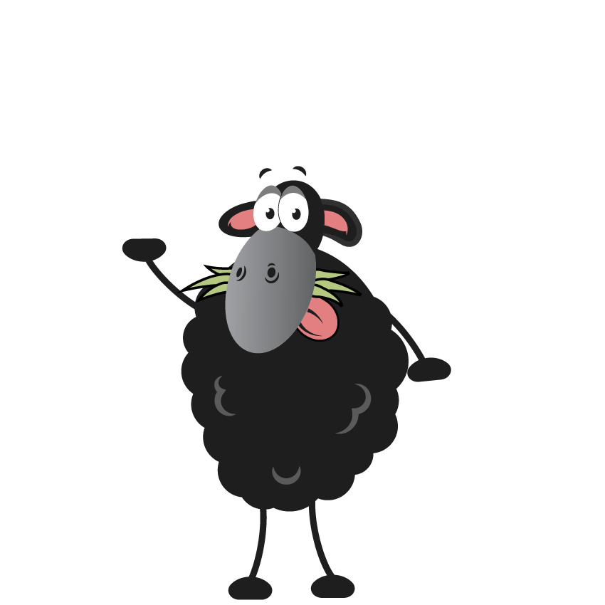 Meet the Team - Our Flock are Outstanding 2! Meet the Team - Our Flock are Outstanding 2!