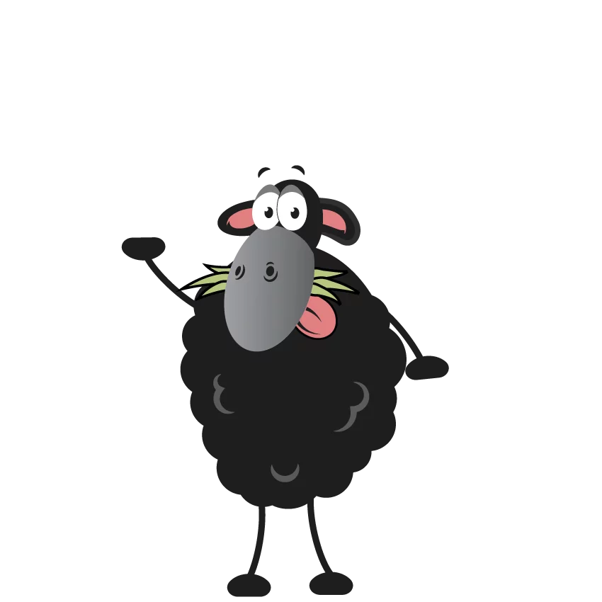 Meet the Team - The Adventures of Rodney