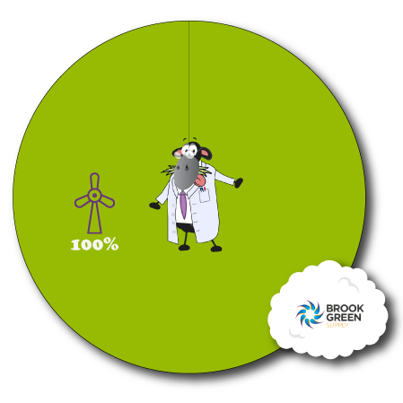 Brook Green Energy Supply Fuel Mix Pie Chart