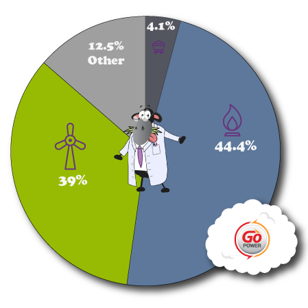 Go Power Fuel Mix Pie Chart