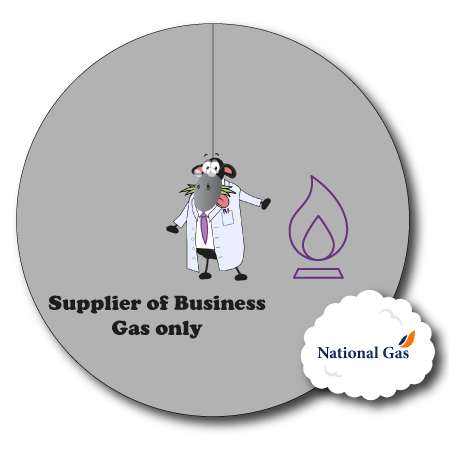 National Gas Fuel Mix Pie Chart
