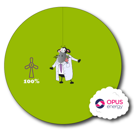 Opus Energy Fuel Mix Pie Chart