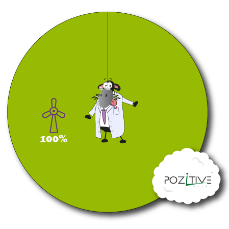 Pozitive Energy Fuel Mix Pie Chart