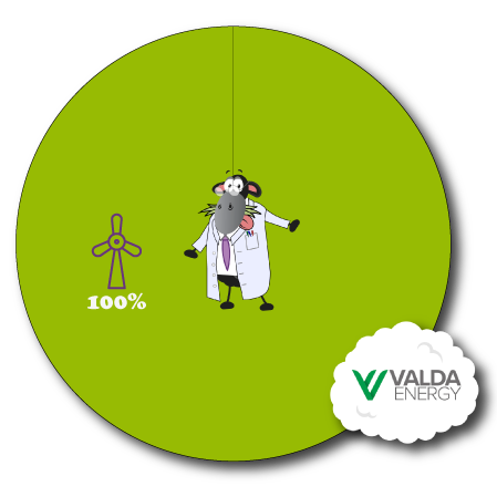 Valda Energy Fuel Mix Pie Chart