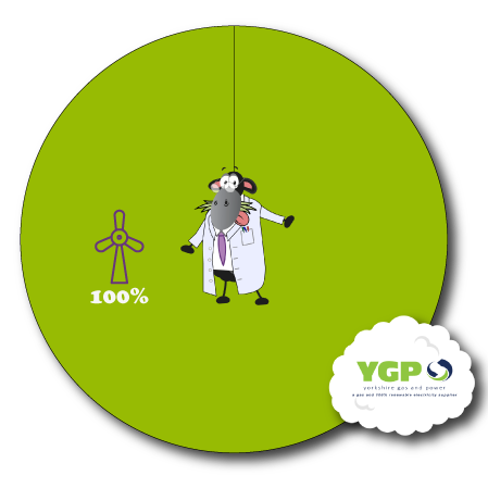 Yorkshire Gas and Power Fuel Mix Pie Chart