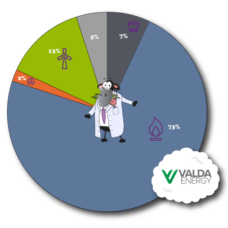 Valda Fuel Mix 102023