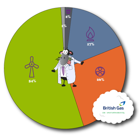 British Gas Lite Fuel Mix 2024