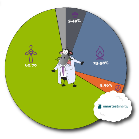 Smartest Energy Fuel Mix 2024