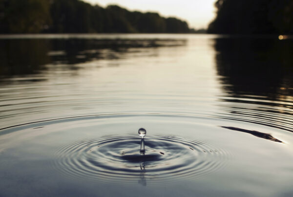 water droplet in lake 2024 12 06 21 53 37 utc