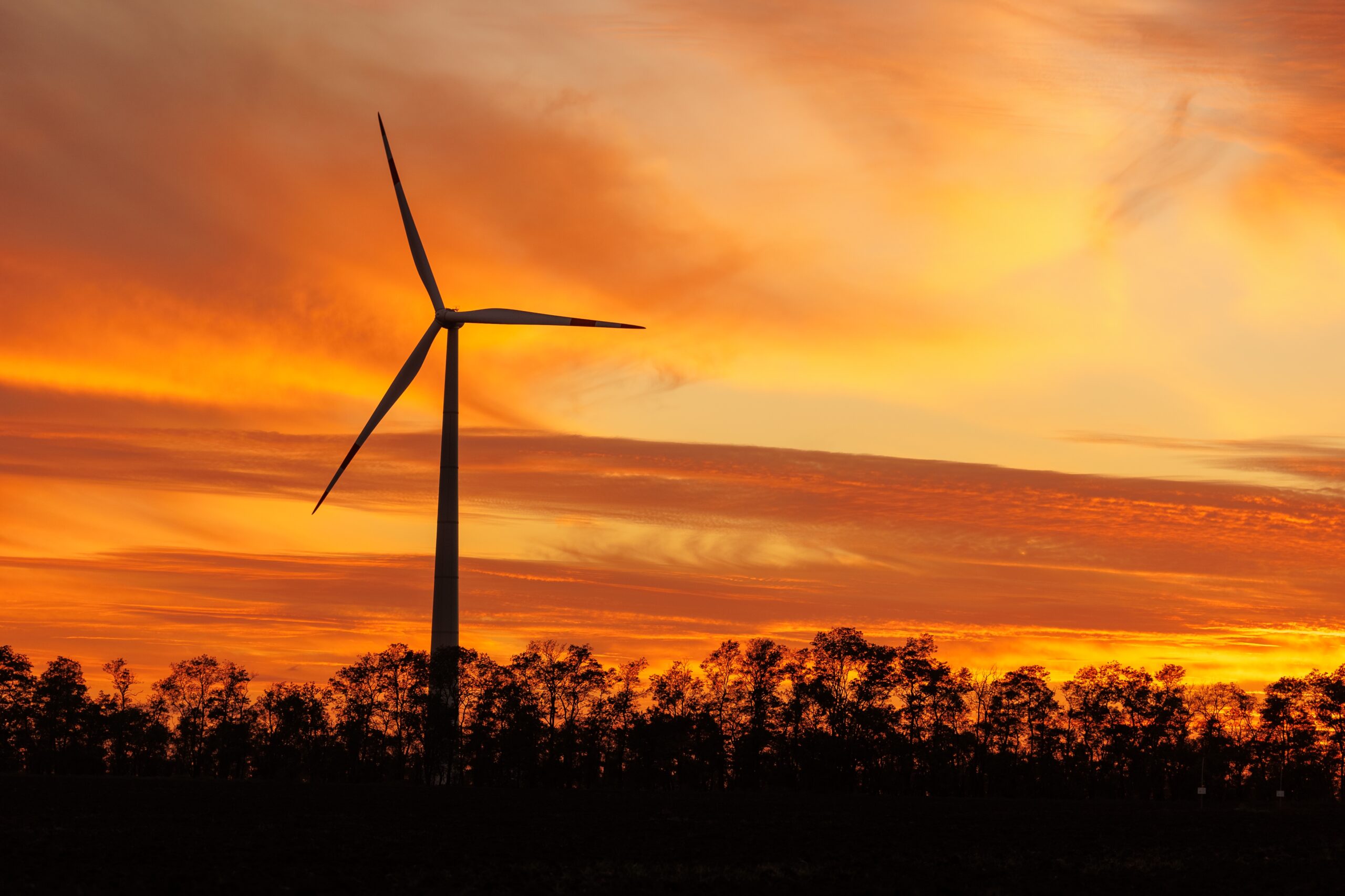 wind turbines in the open space or in the field a 2025 02 22 01 13 10 utc scaled