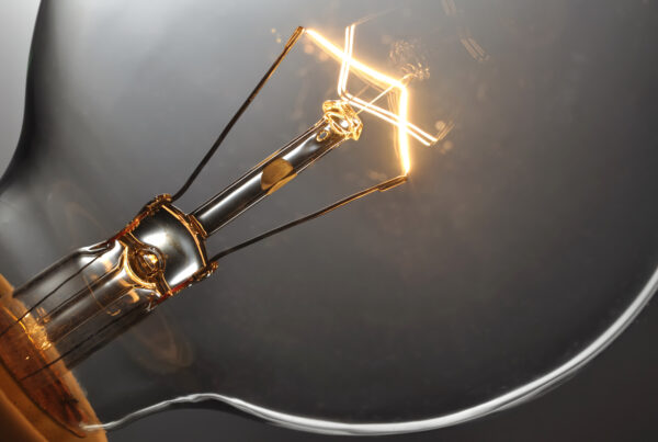 light bulb 2024 11 25 12 06 38 utc